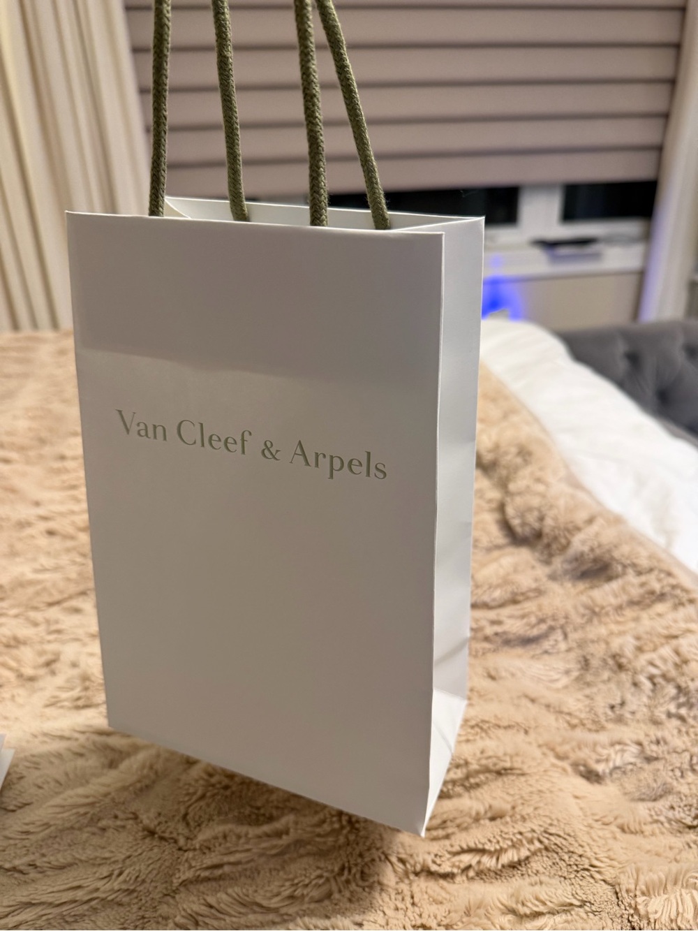 Van Cleef & Arpels shopping bag new size 10x7x3 small